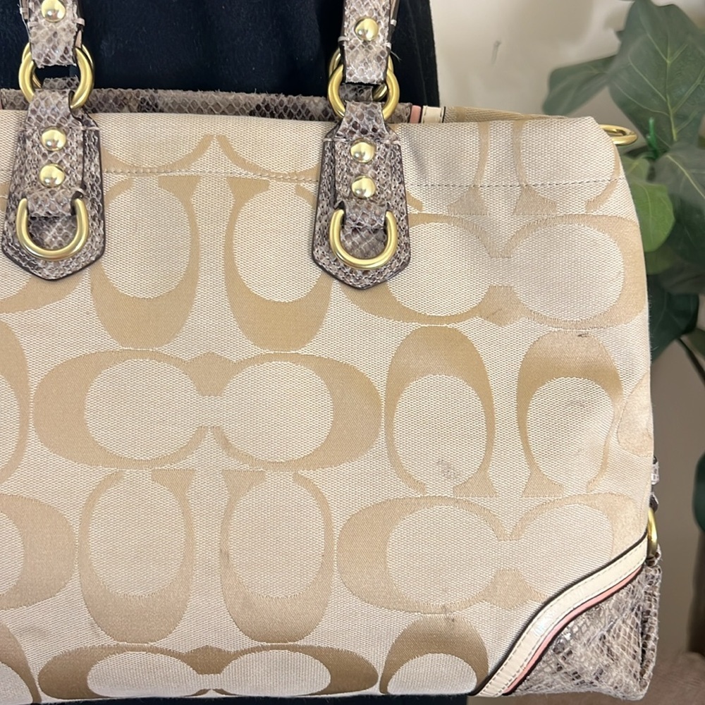 Coach Beige Signature Canvas And Python Embossed … - image 8